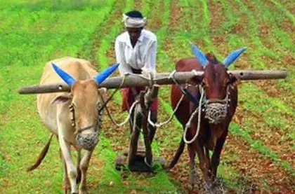 Economy of Rajasthan