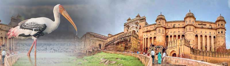 Jaipur Tours