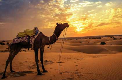 jaisalmer desert safari booking