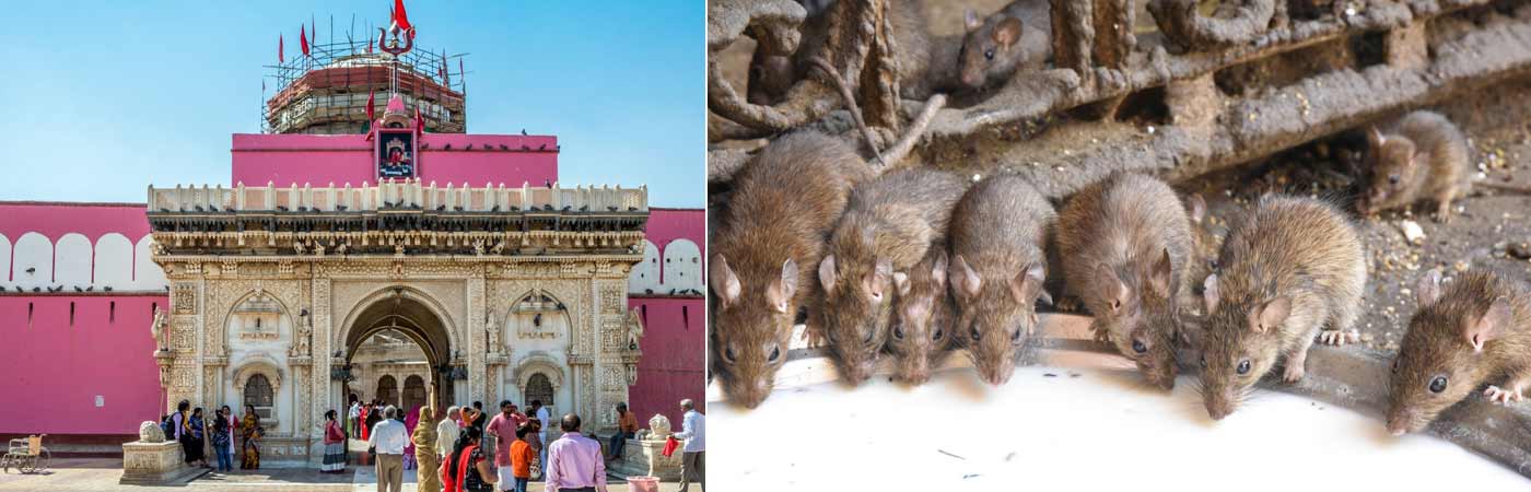 Rajasthan Tour Plan
