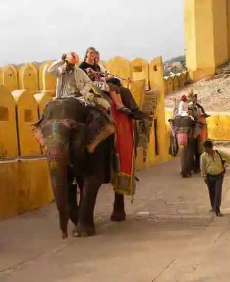 Cose da Fare India