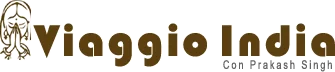 viaggi india
