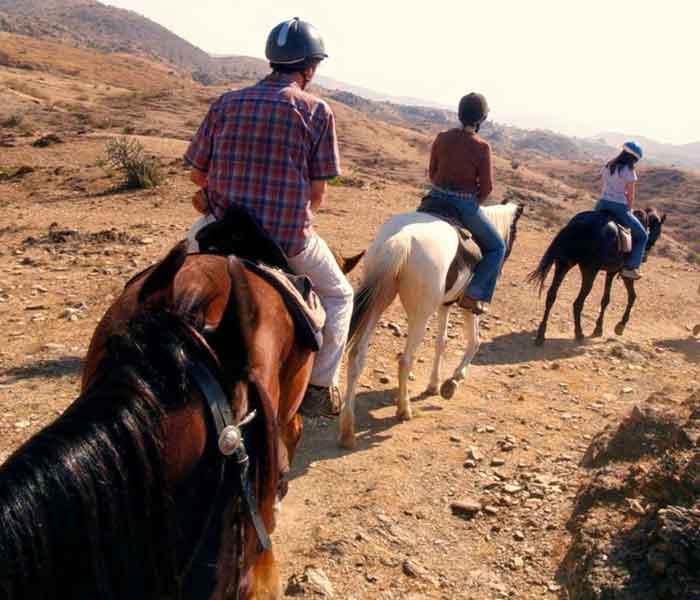 Horse Safari