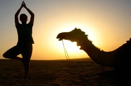 Yoga Meditation Rajasthan