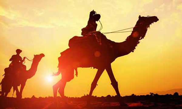 Private Transfer From Jaisalmer To Bikaner