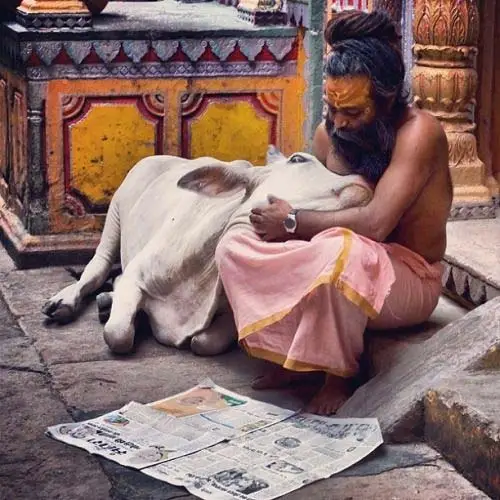 Allahabad Prayagraj kumbh mela news
