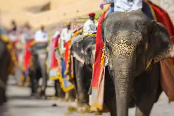 First Timer Rajasthan India Tour